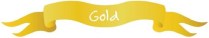 travelwise-school-award-gold_500x91